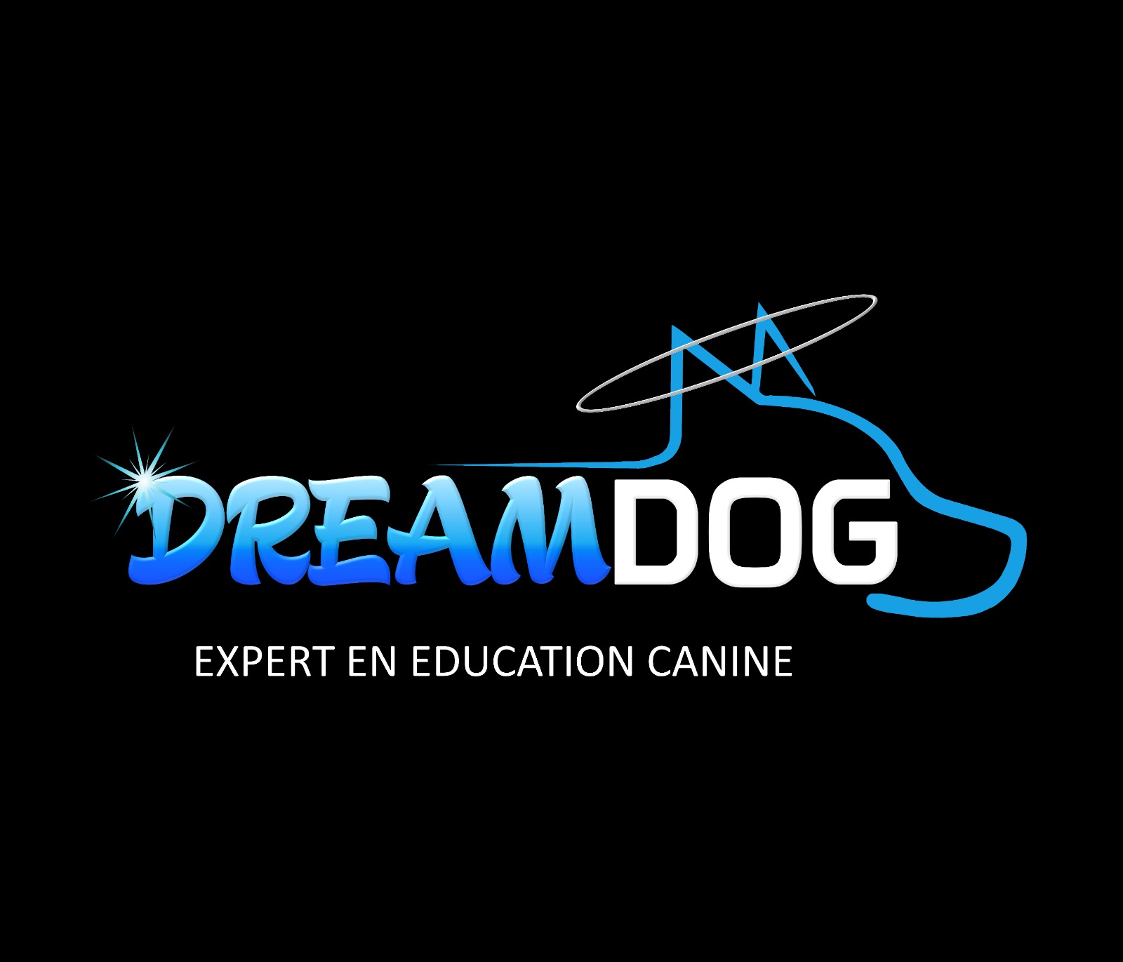 Logo with blue and white text 'DREAMDOG' and a blue line drawing of a dog's head, with the phrase 'Expert en Education Canine' below.