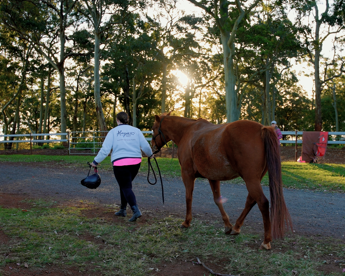 Person in riding gear leading a brown horse on a dirt path with trees and sunset in the background.