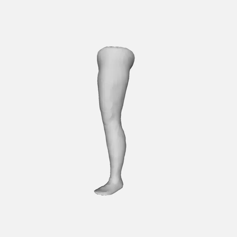 3D full leg scan model | Astrivis