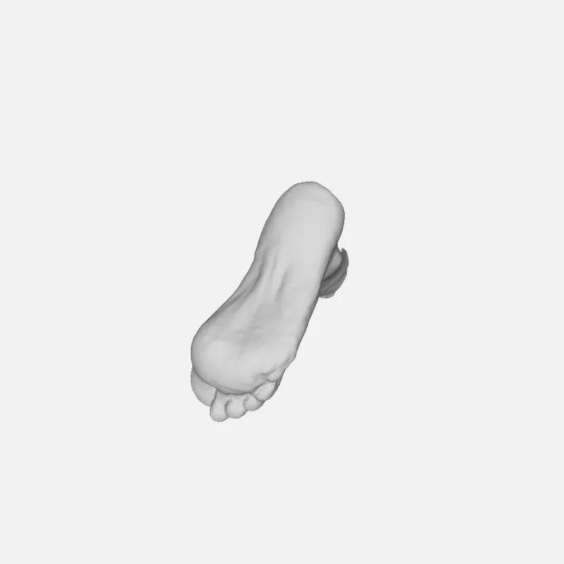 3D shoe sole or foot underside scan model | Astrivis