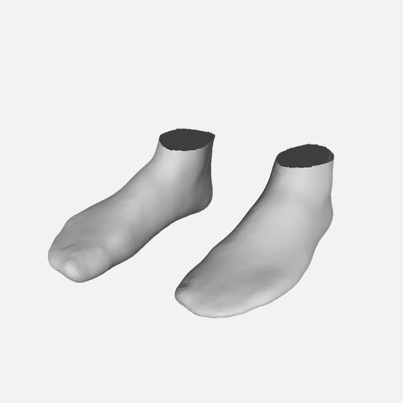 3D scan model of human feet | Astrivis