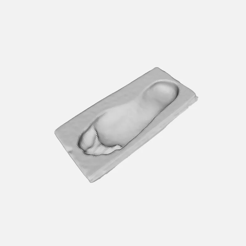 3D leg in a cast or mold scan model | Astrivis