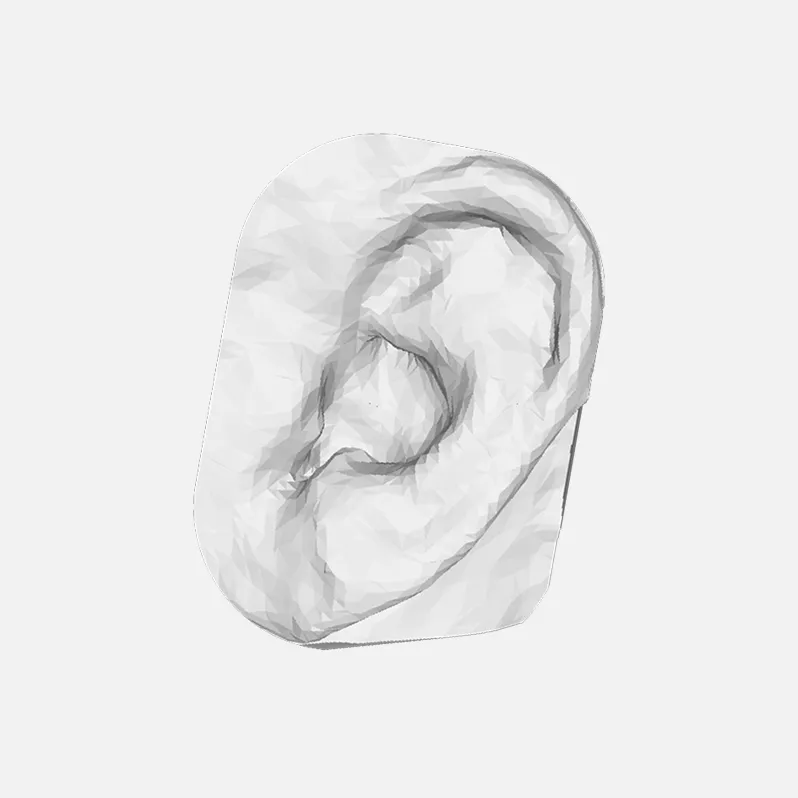3D ear scan model | Astrivis