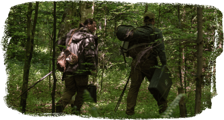 Zwei Waldpädagogen mit Rucksäcken und Ausrüstung gehen durch einen grünen Wald.