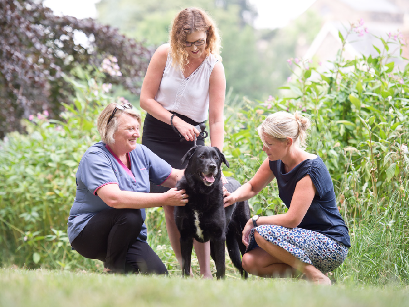 2 women are sat with and petting a black dog, with a third in a white shirt standing above and petting it as well.