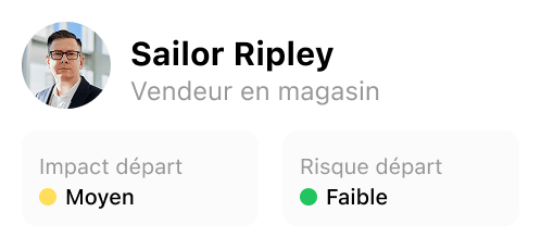 Profil de Sailor Ripley, vendeur au détail, indiquant un impact moyen en termes d'attrition avec un point jaune et un faible risque d'attrition avec un point vert.