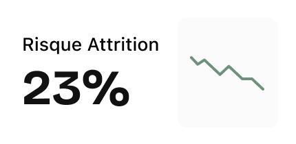 Texte indiquant un risque de chiffre d'affaires de 23 % avec un petit graphique linéaire à tendance descendante.