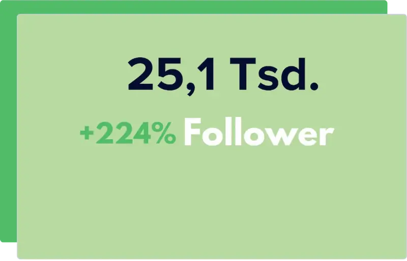 Grafik, die einen Follower Zuwachs von +224% zeigt.