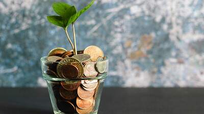 Plant sprouting from a glass of coins representing financial growth and sustainability.