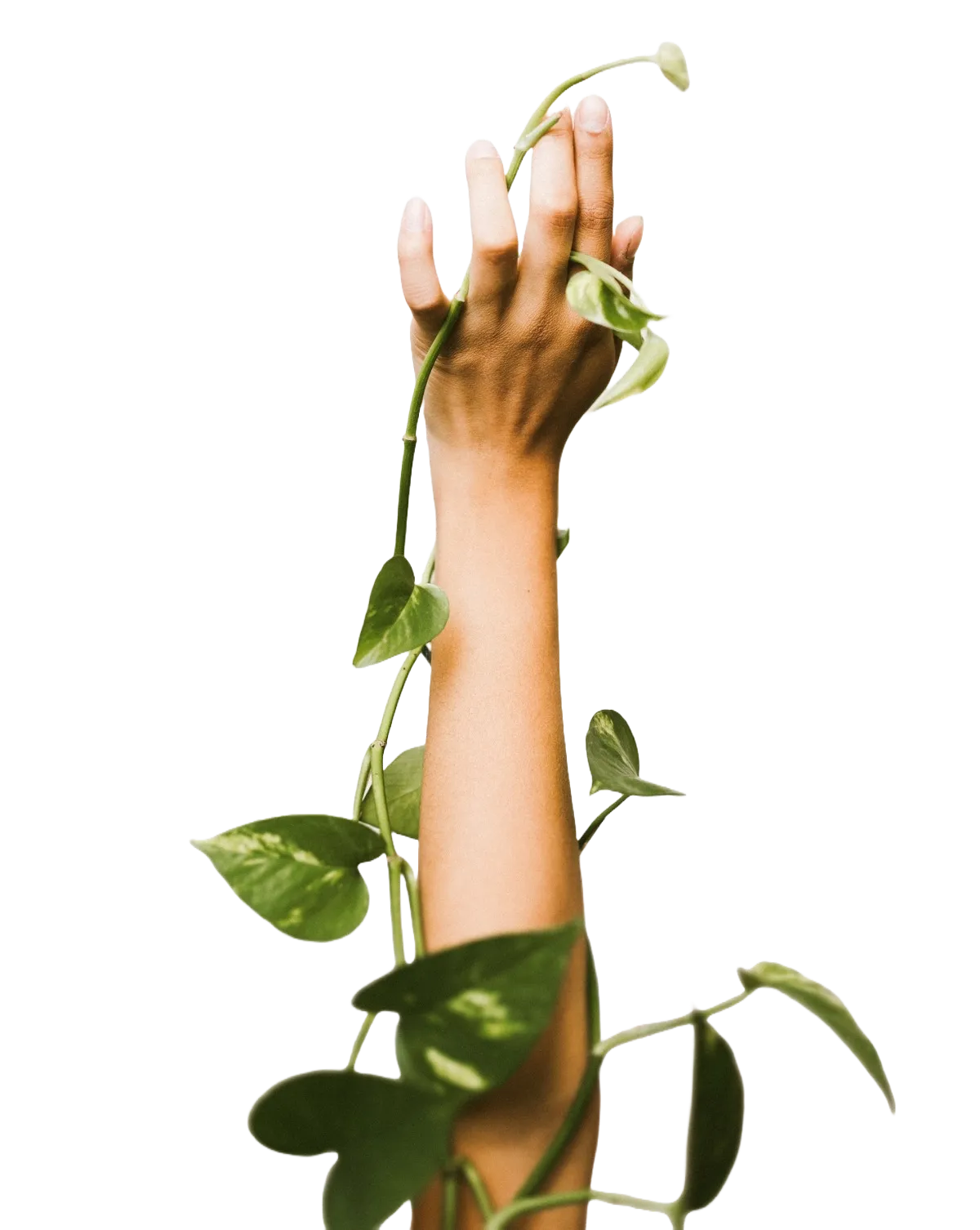 A hand entangled in vines reaching upward