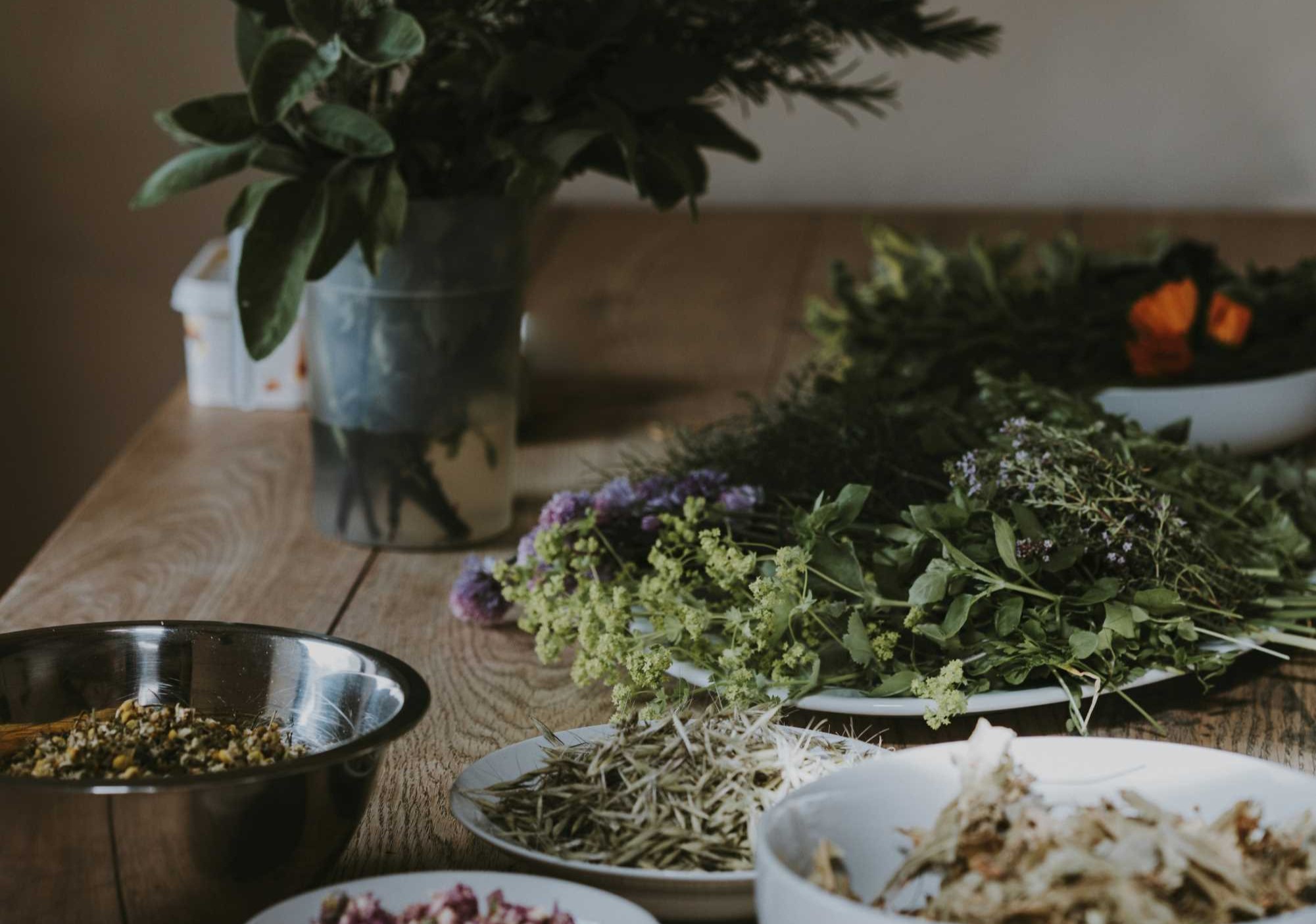 Herbs and plants in bowls