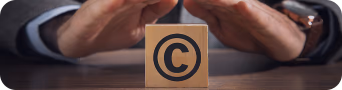 Intellectual Property Protection