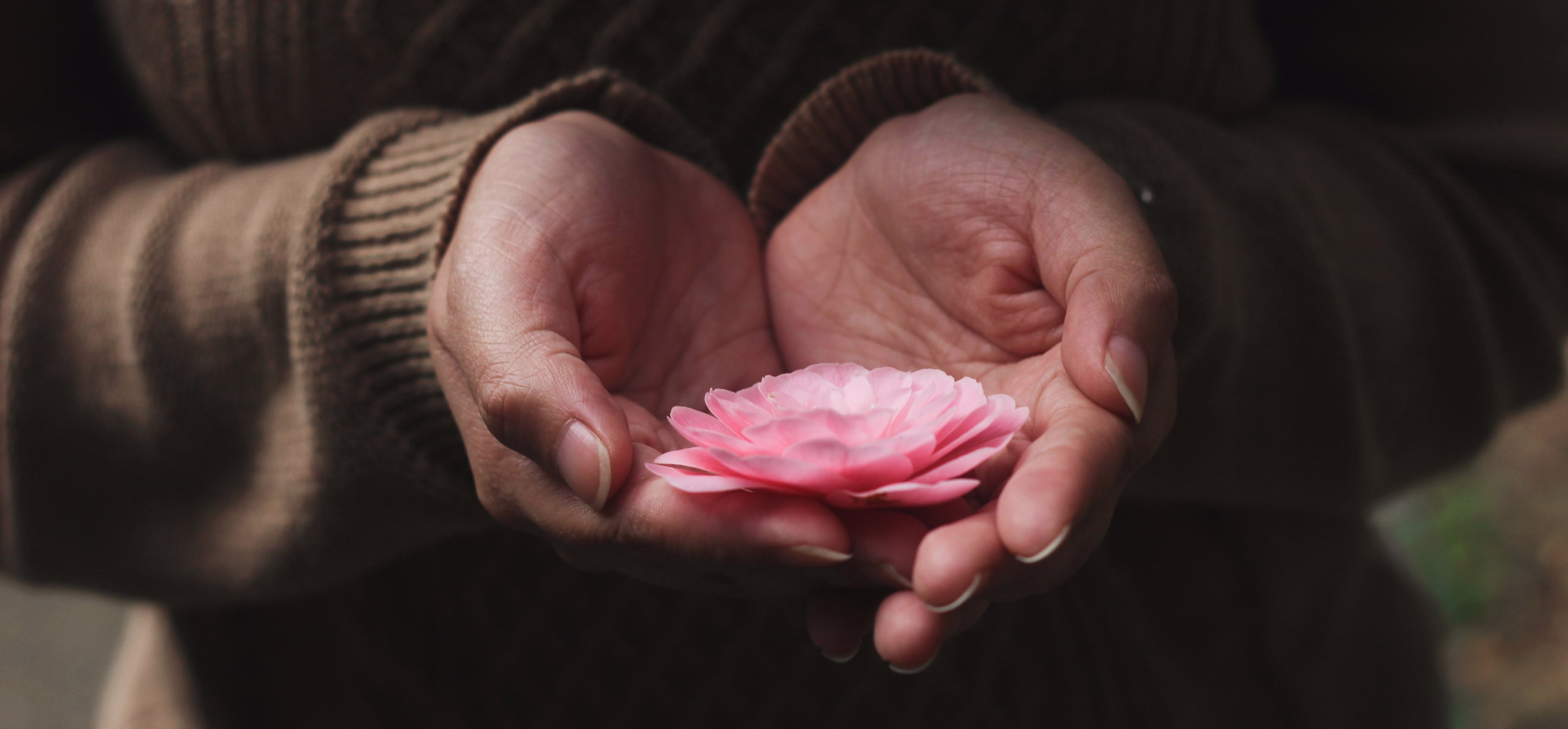 Mind-body balance projects