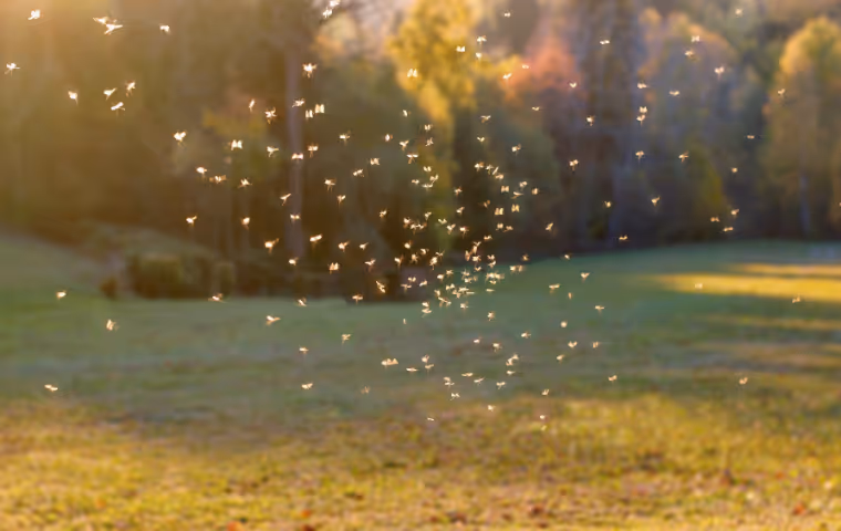 swarm of mosquitoes in charleston yard
