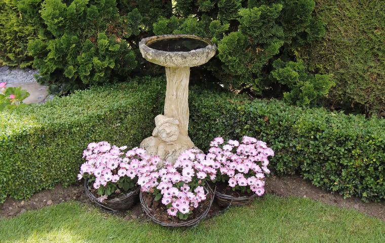 bird bath in garden surrounded by flowers