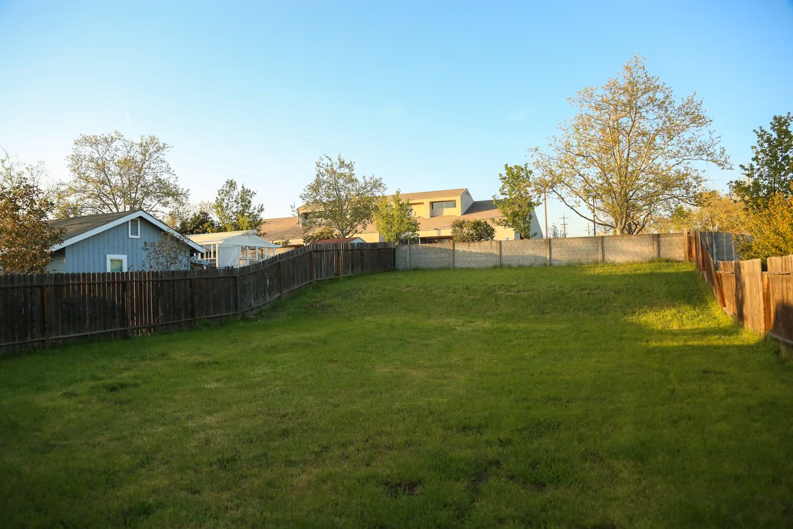 Green backyard lawn with a fence and home