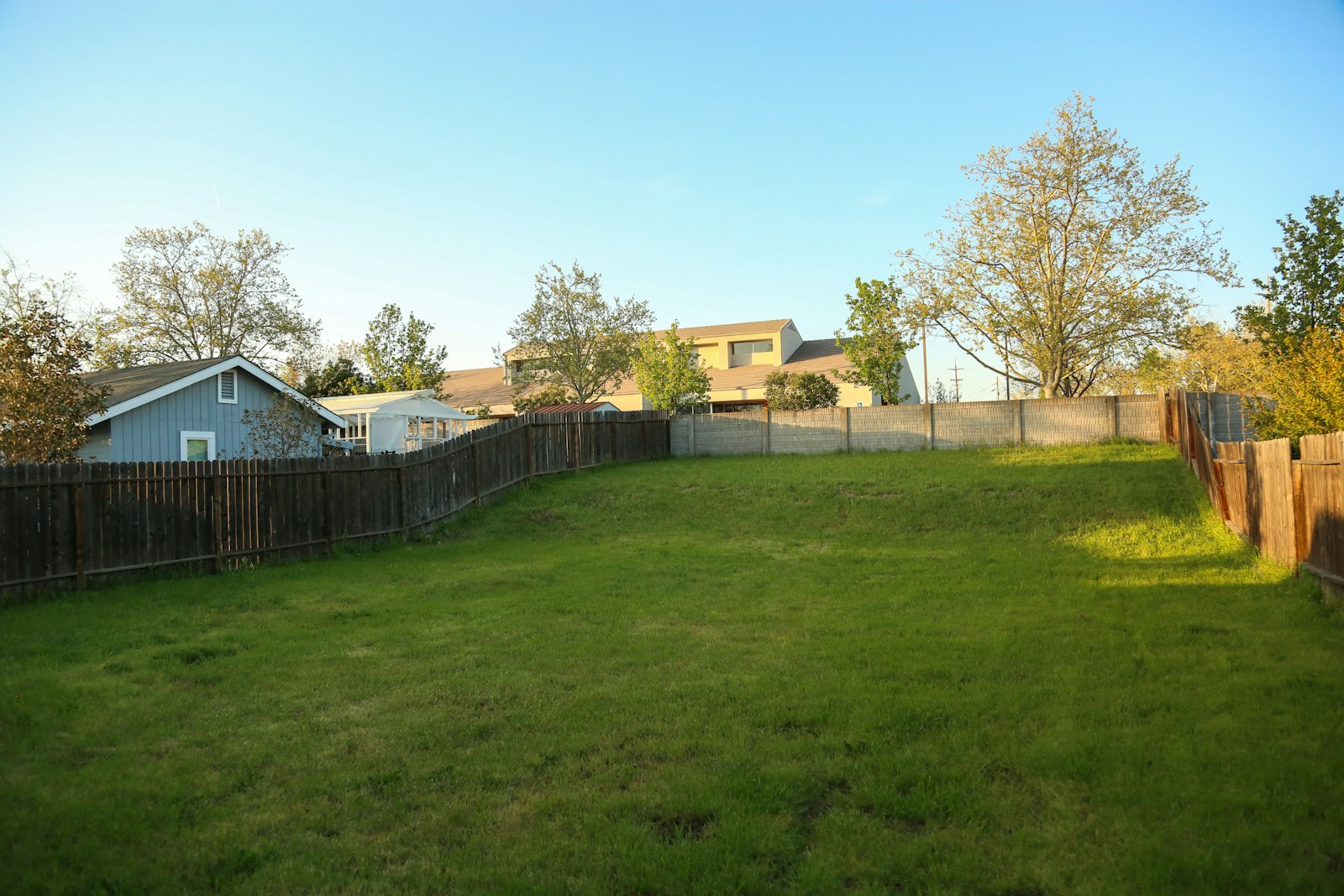 Green backyard lawn with a fence and home