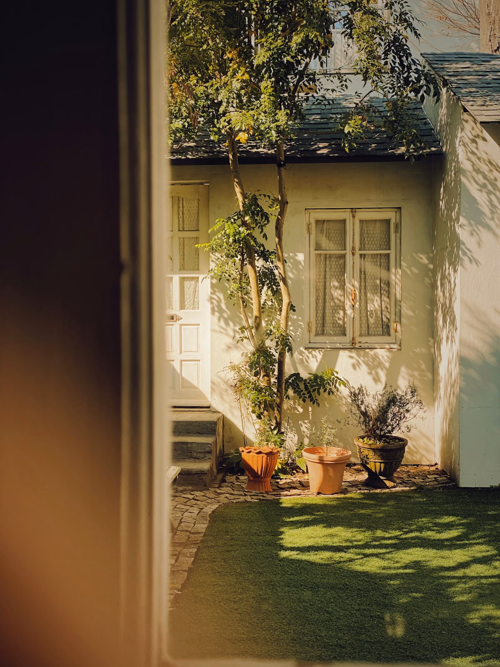 Home with a green grassy yard