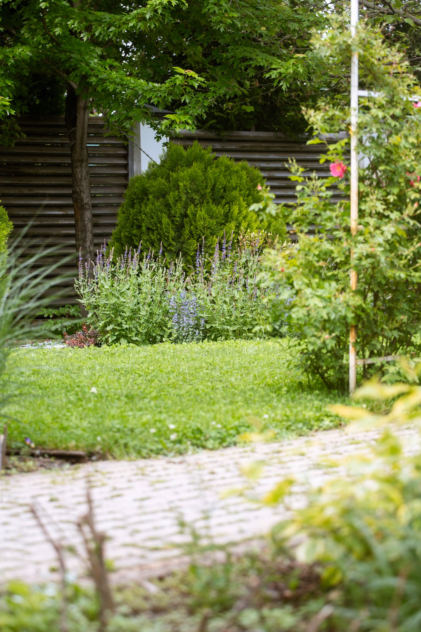 Garden pathway with green grass, flowers and lush trees