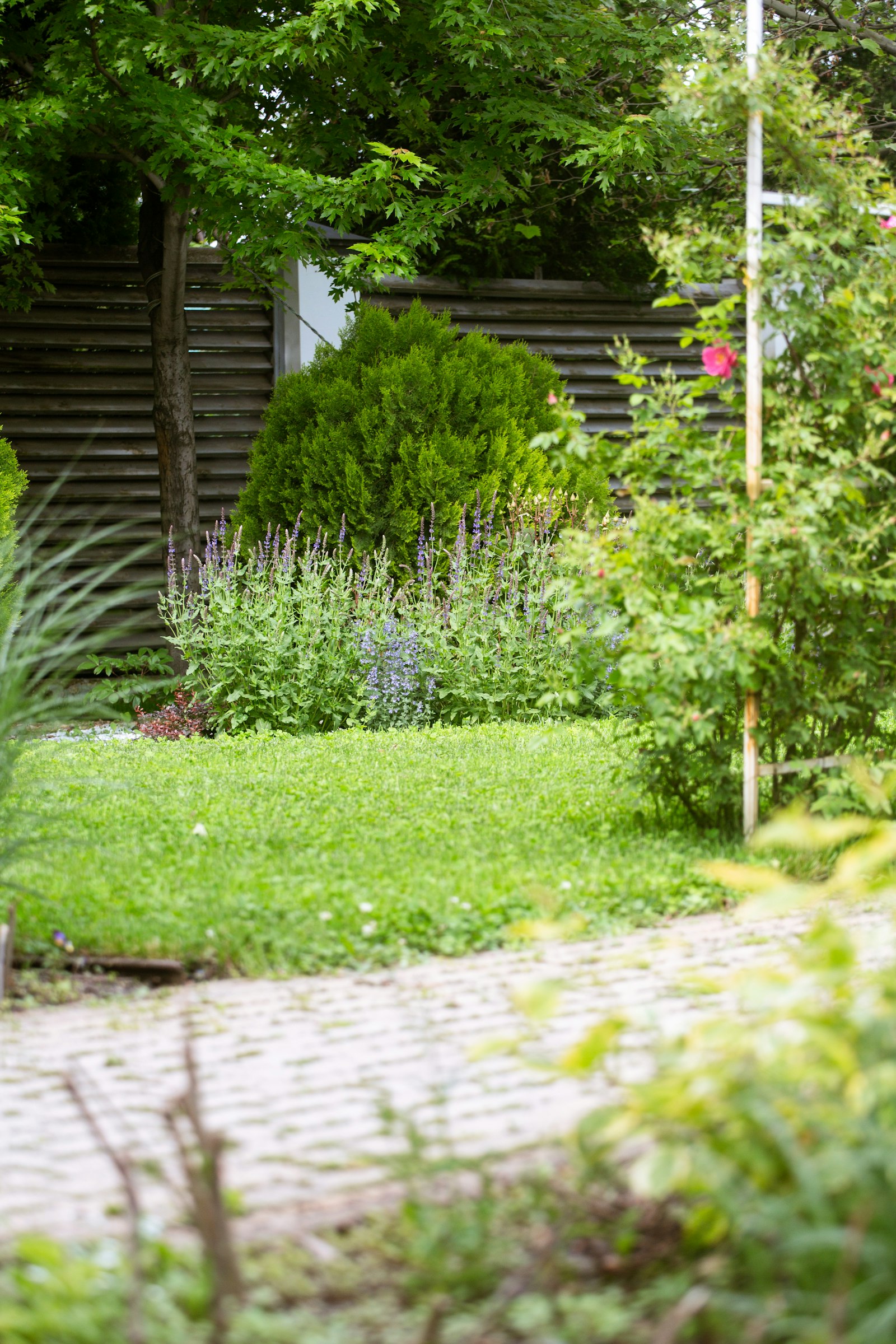 Garden pathway with green grass, flowers and lush trees