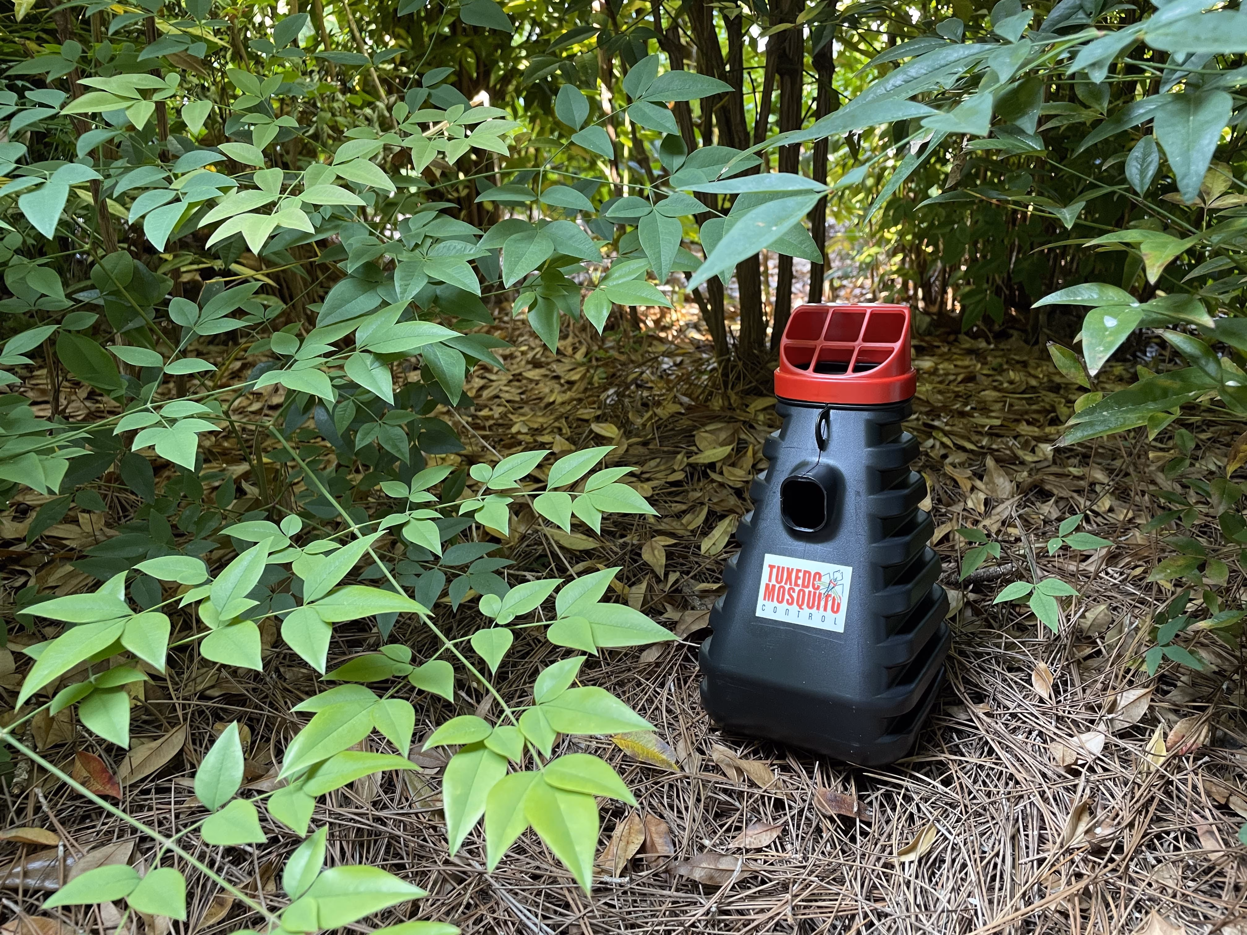 Tuxedo Mosquito Control trap placed in landscaping