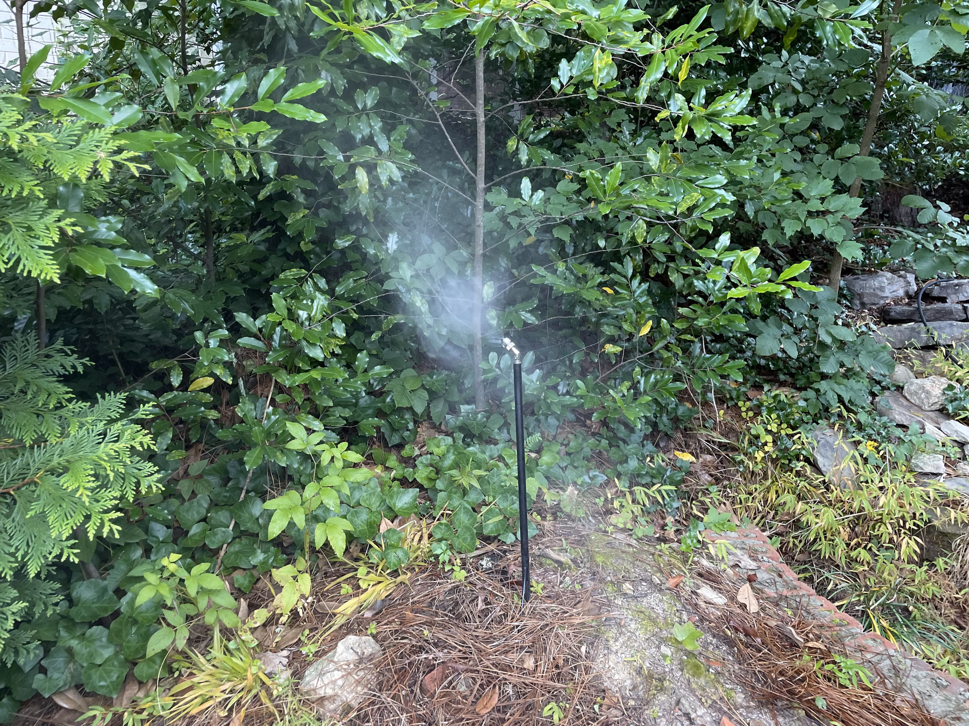 Mosquito misting system treating a landscaped yard