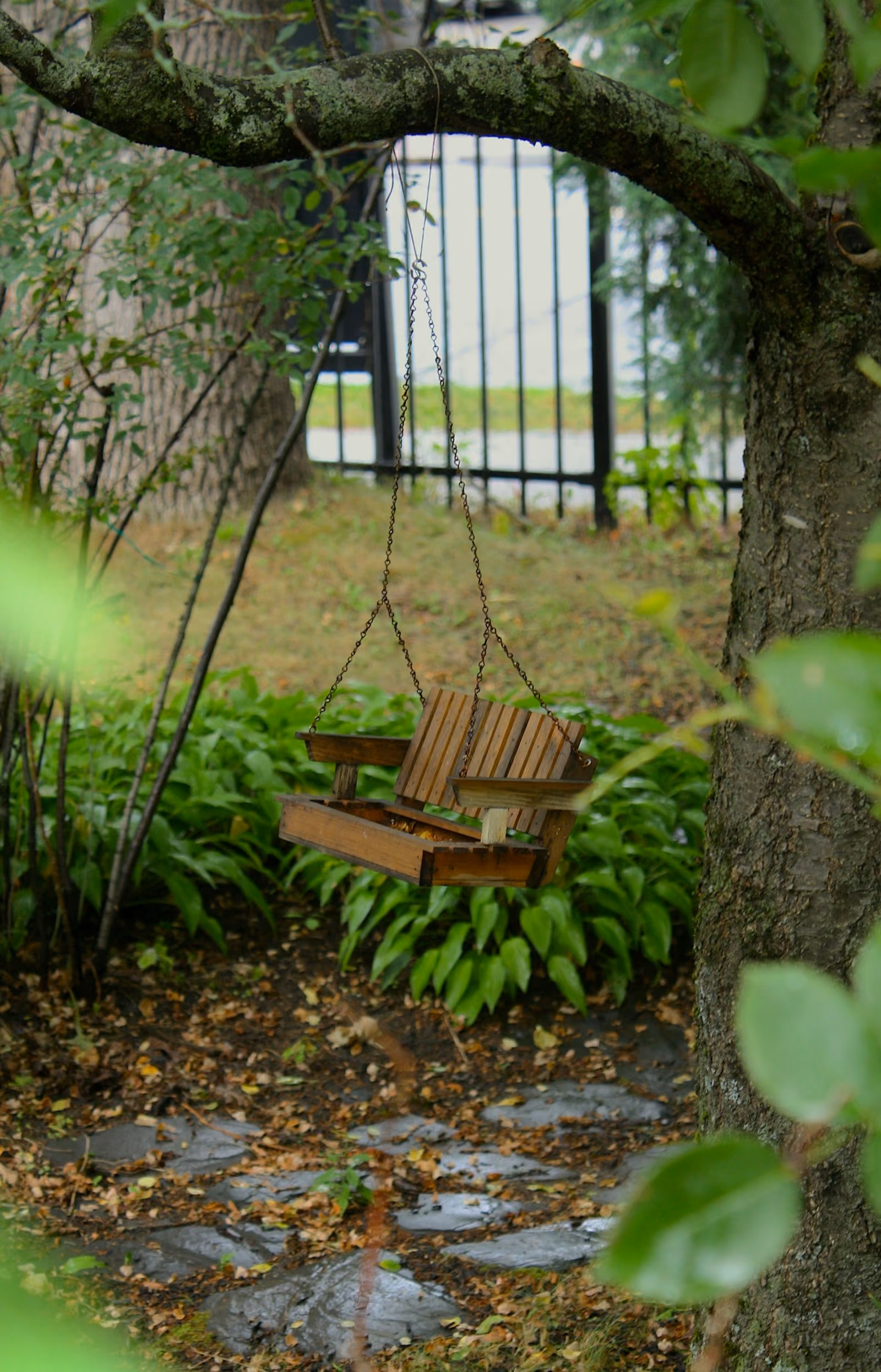 Bird feeder hanging from a tree in a garden