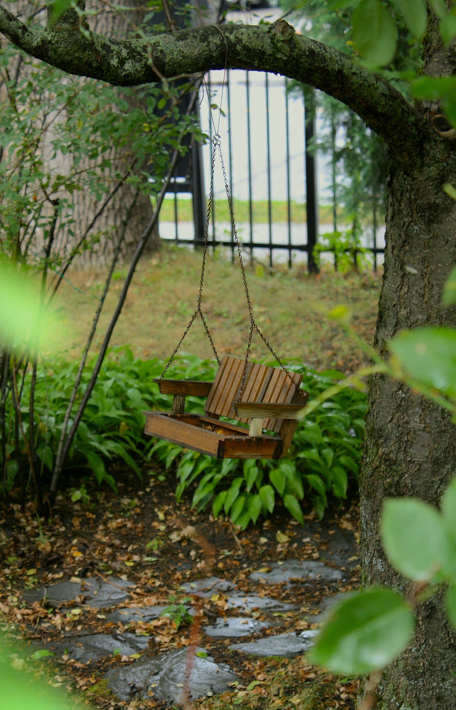 Bird feeder hanging from a tree in a garden
