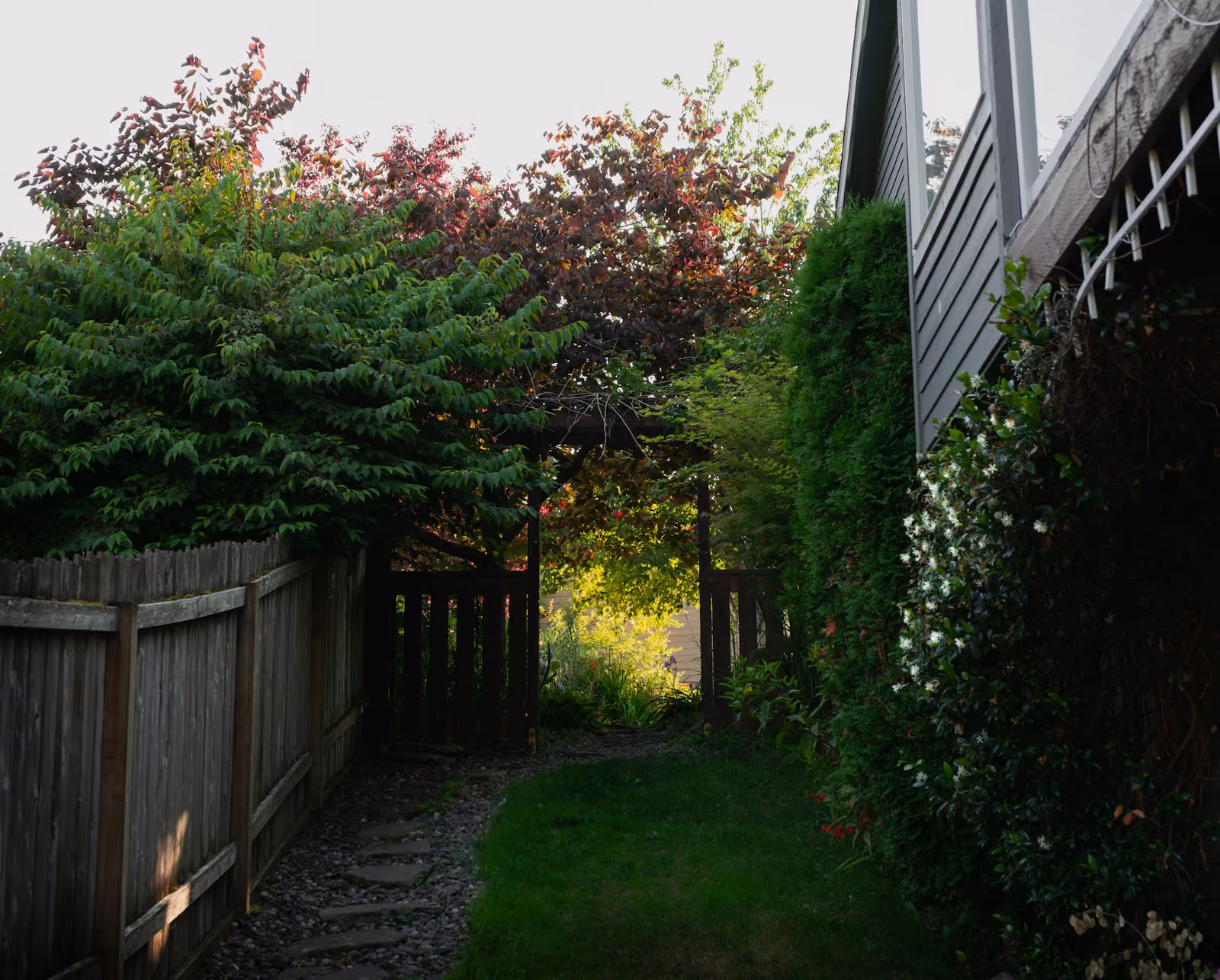 Backyard fence beside a home with greenery
