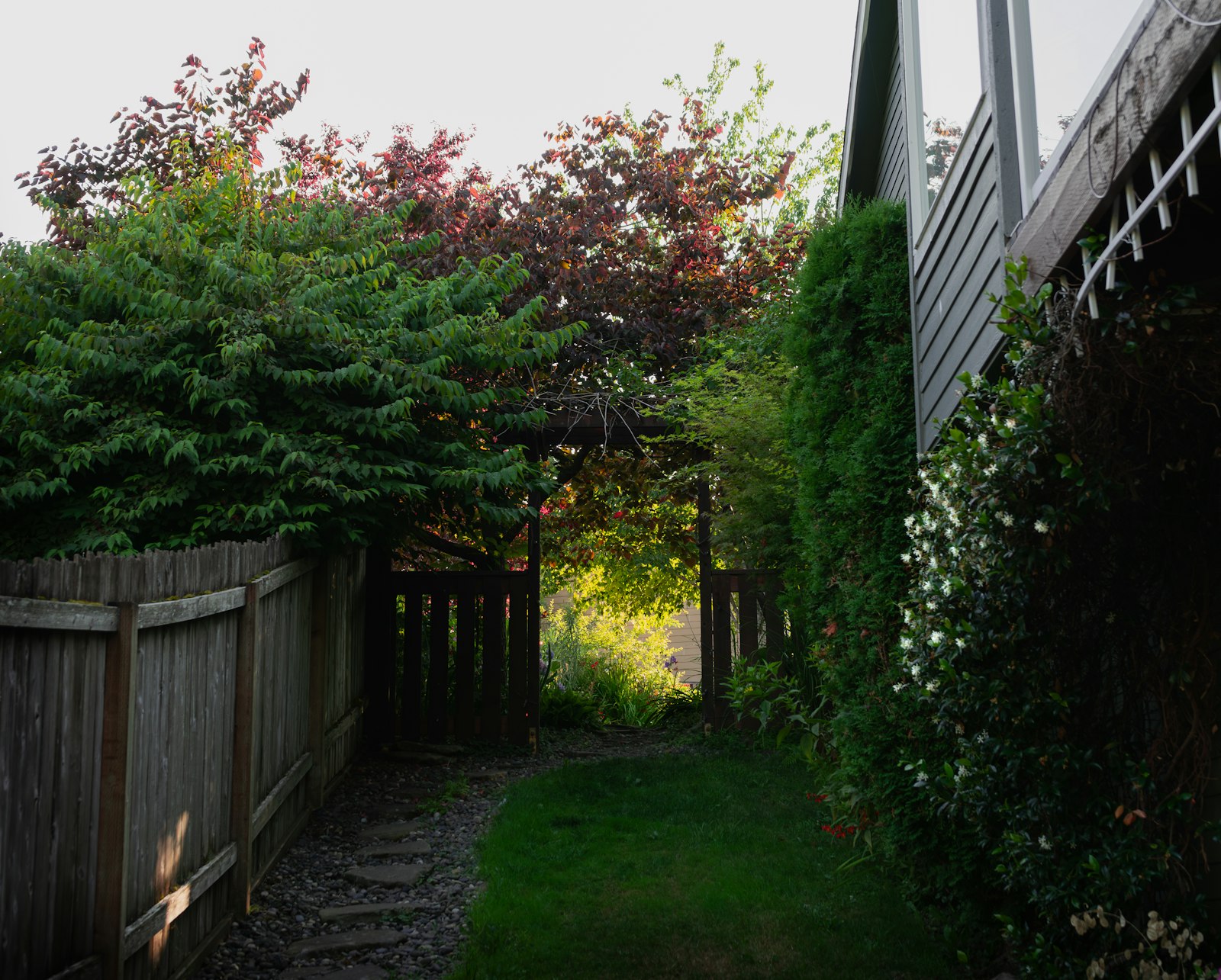 Backyard fence beside a home with greenery
