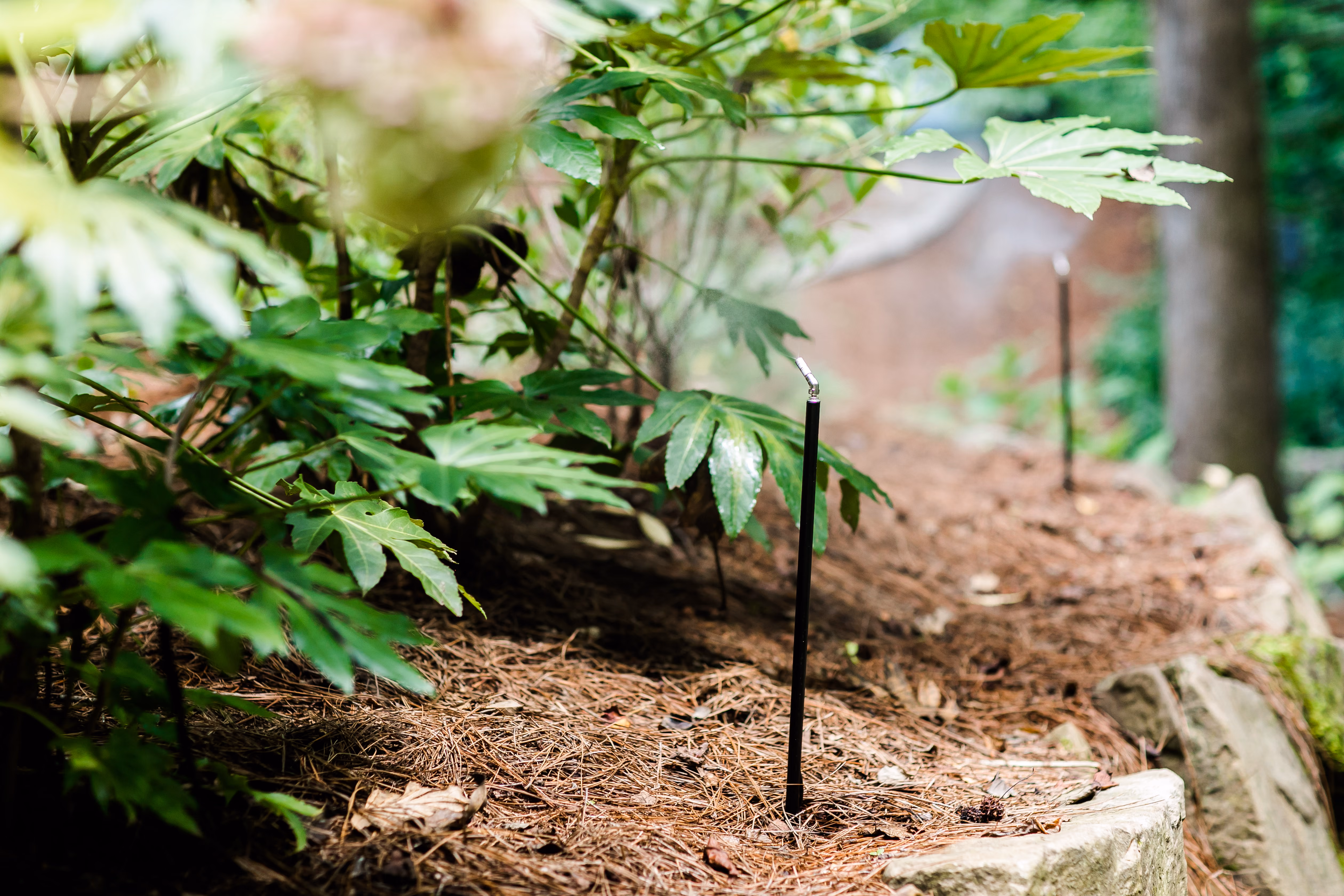 automated mosquito misting system