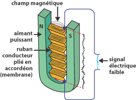 Microphone électrodynamique à bobine mobile