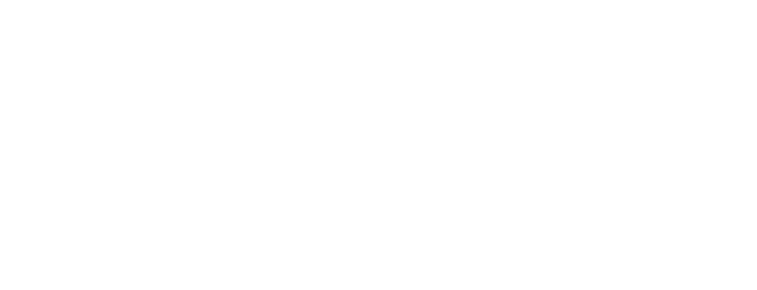 Cricket Ireland logo