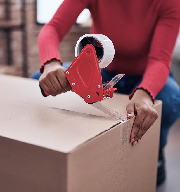 why shell clothes image 2