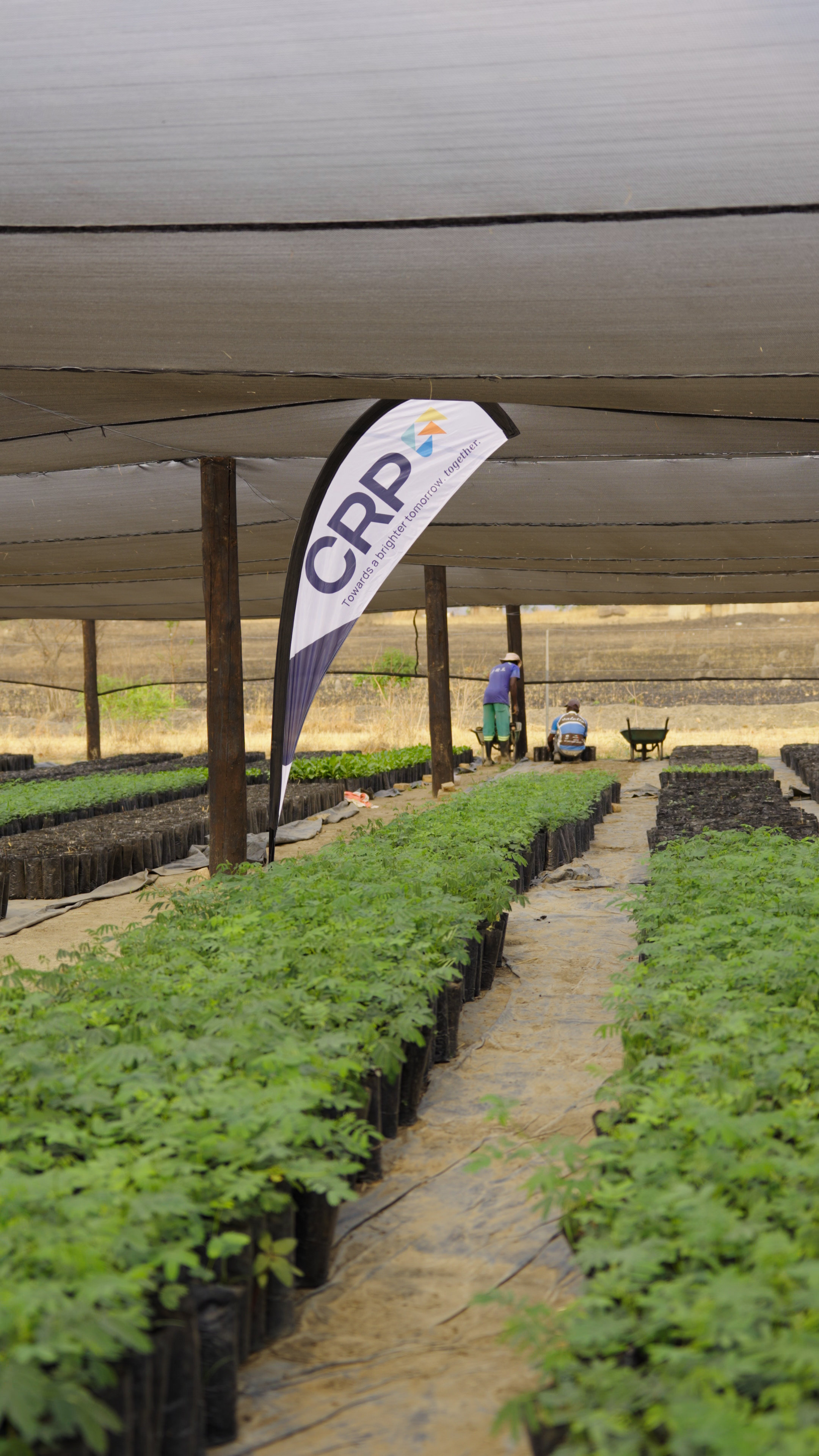 children in the garden