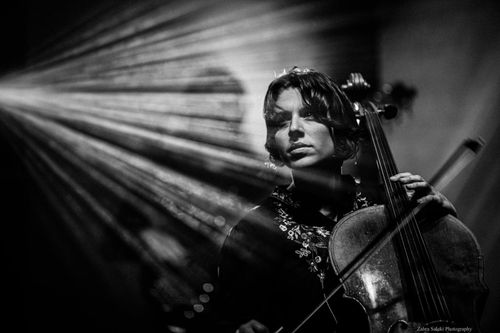 Moog Grandmother illustration