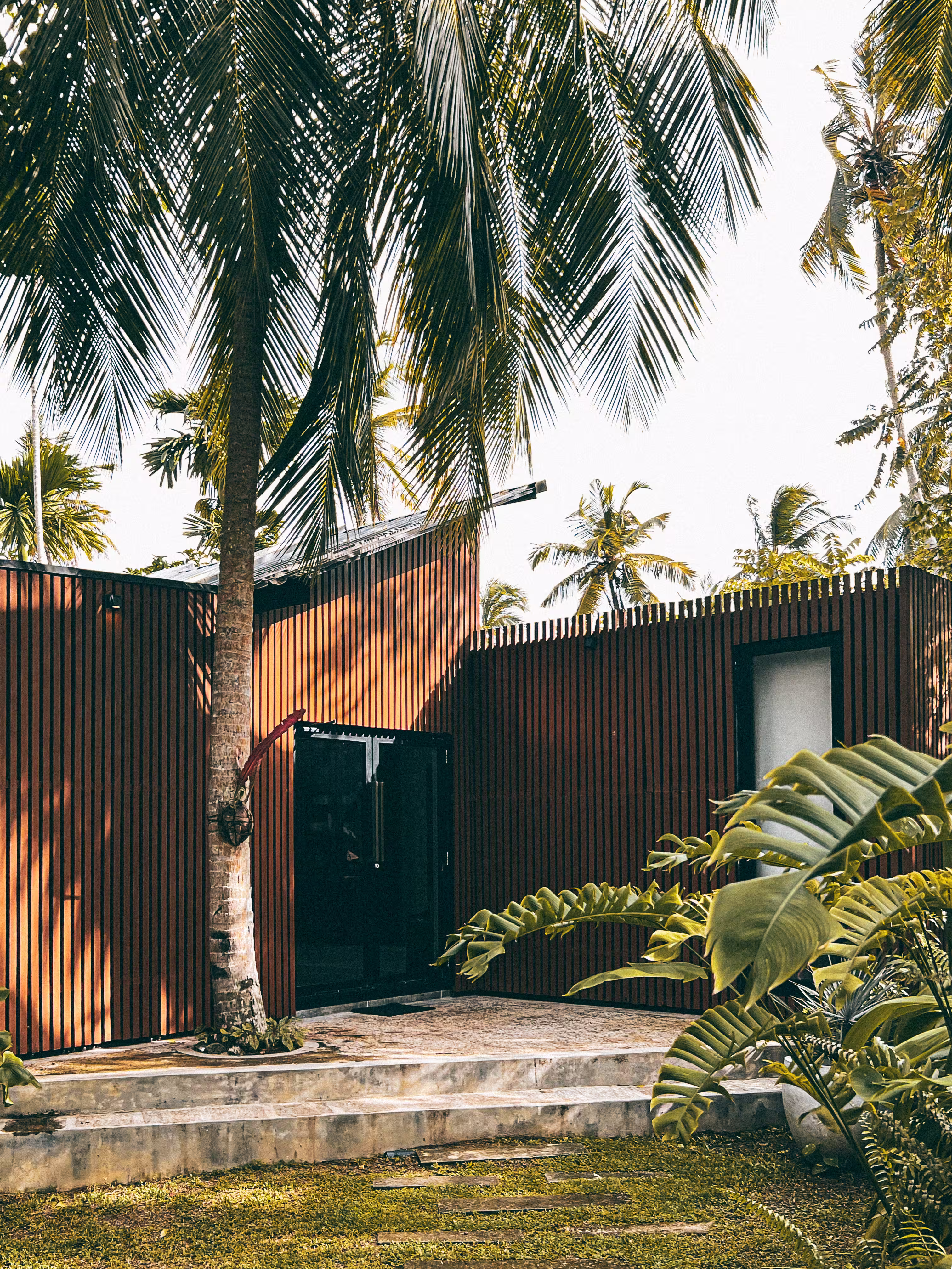 Big Bungalow architecture surrounded by the Licuala jungle garden in Sri Lanka.