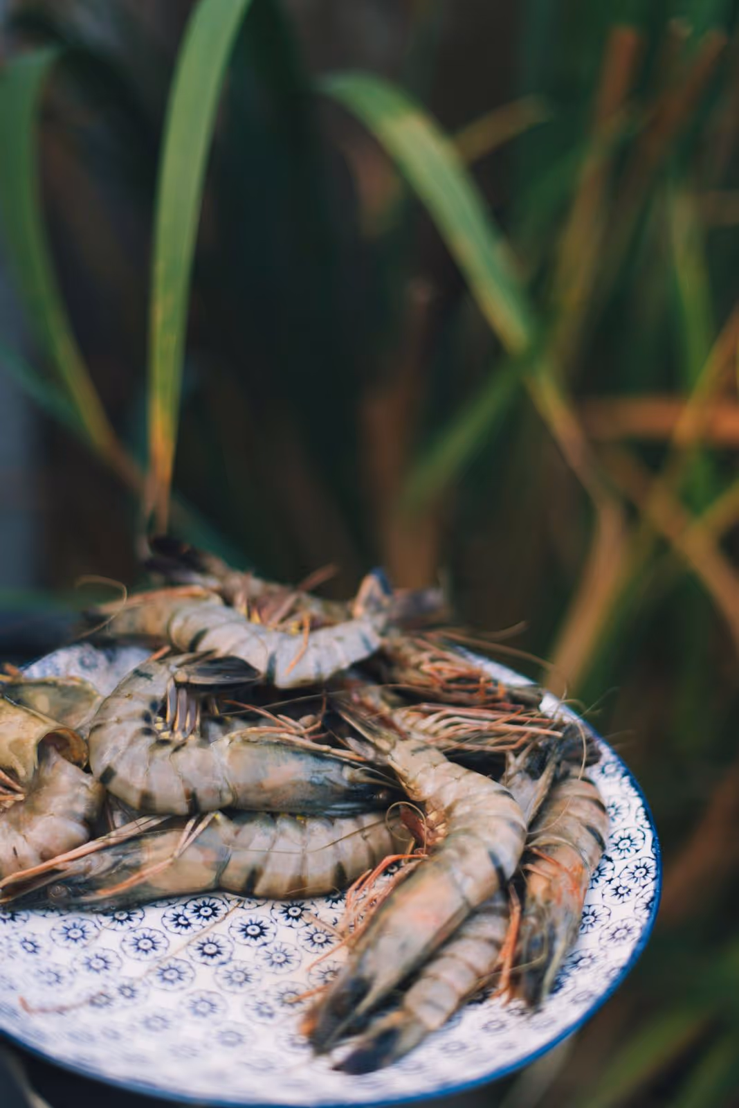 Fresh prawns prepared for dining at Licuala.