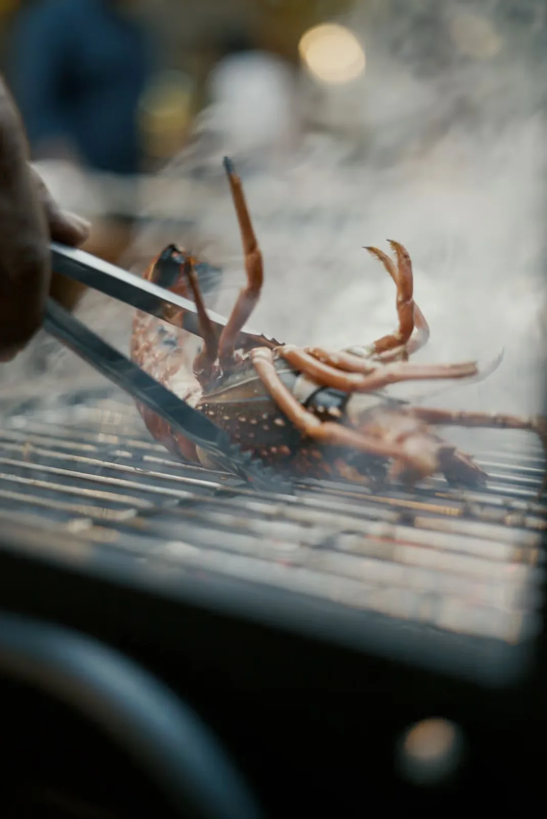 Fresh lobster on the private seafood BBQ at Licuala Lanka, Ahangama, Sri Lanka