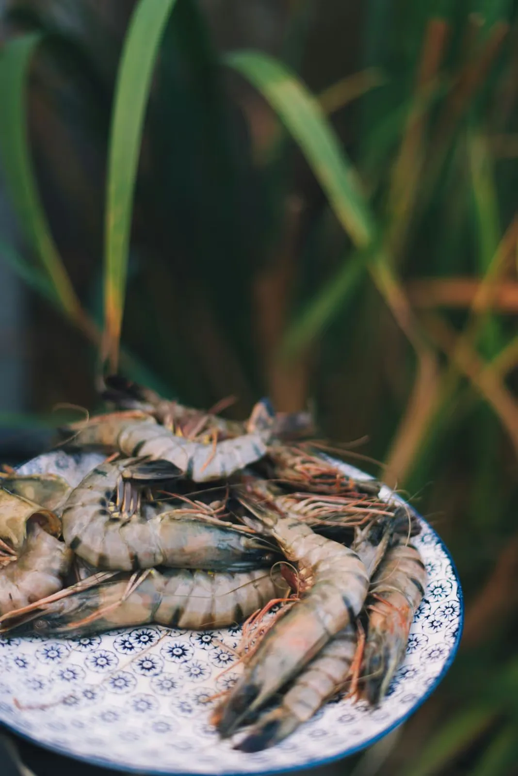 Fresh prawns for the seafood BBQ at Licuala Lanka on Sri Lanka's South Coast