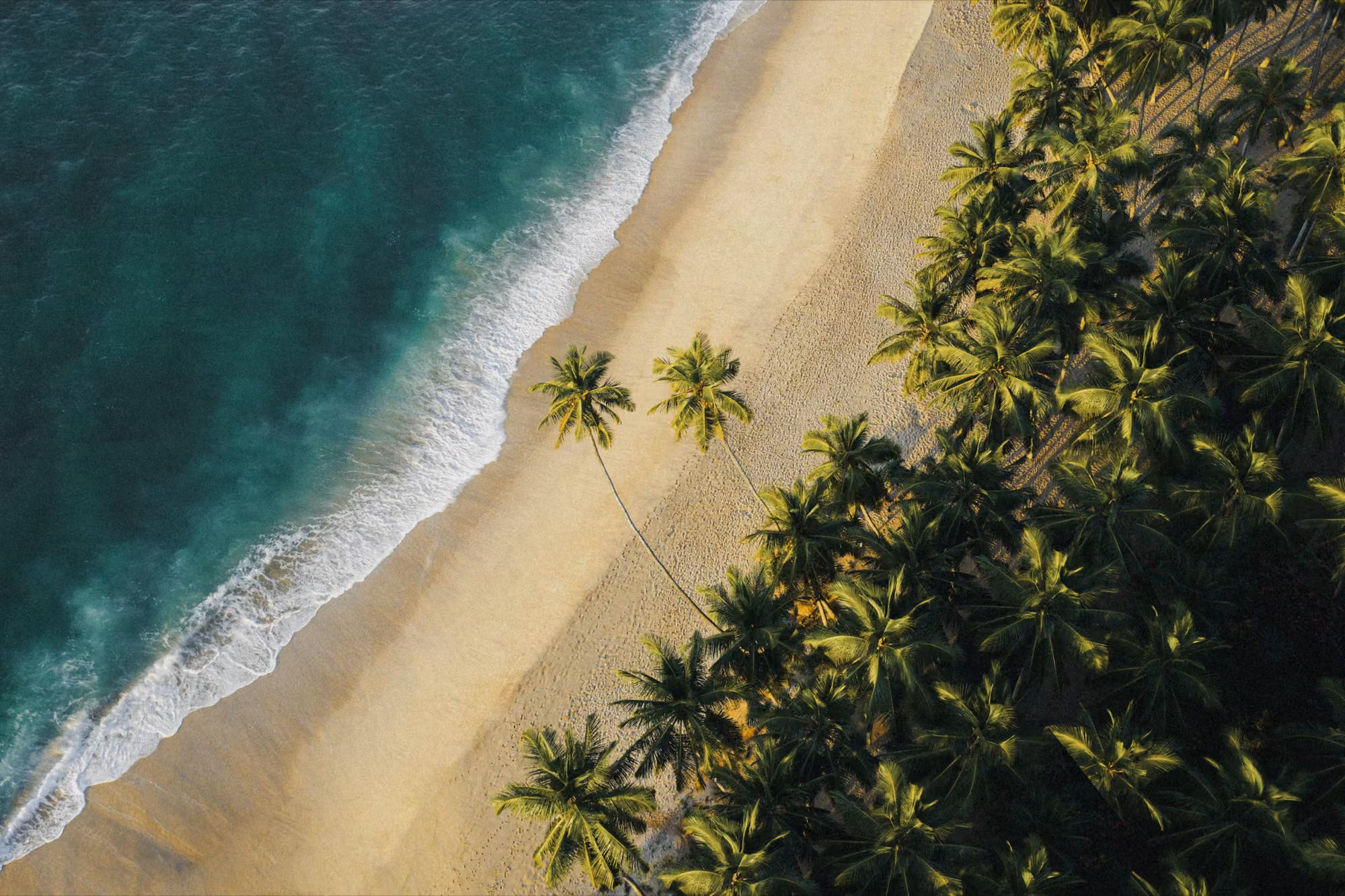 Sri Lankas south coast beach near Licuala Lanka in Ahangama