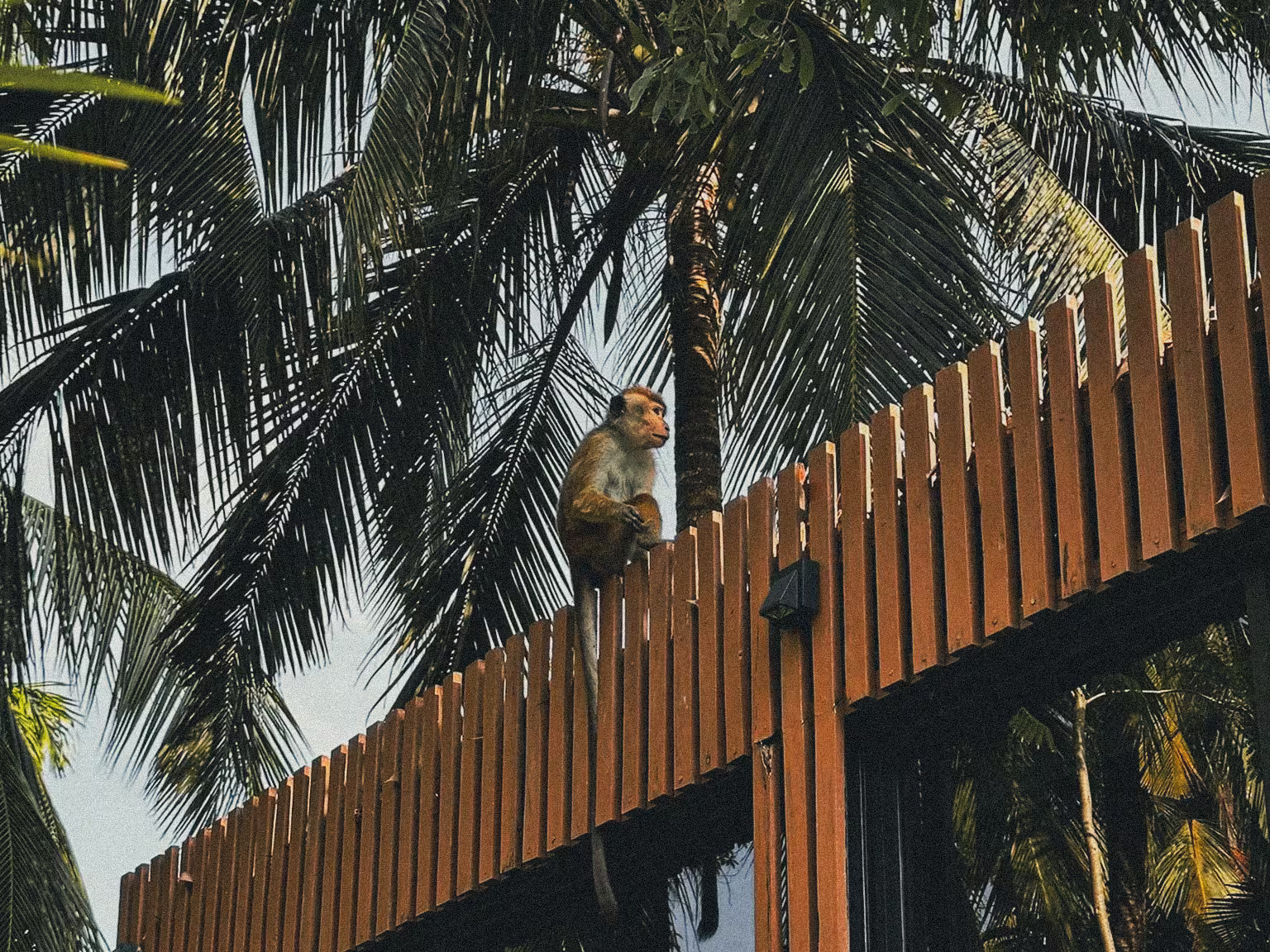 Secluded villa surrounded by foliage featuring a private pool and lounge area