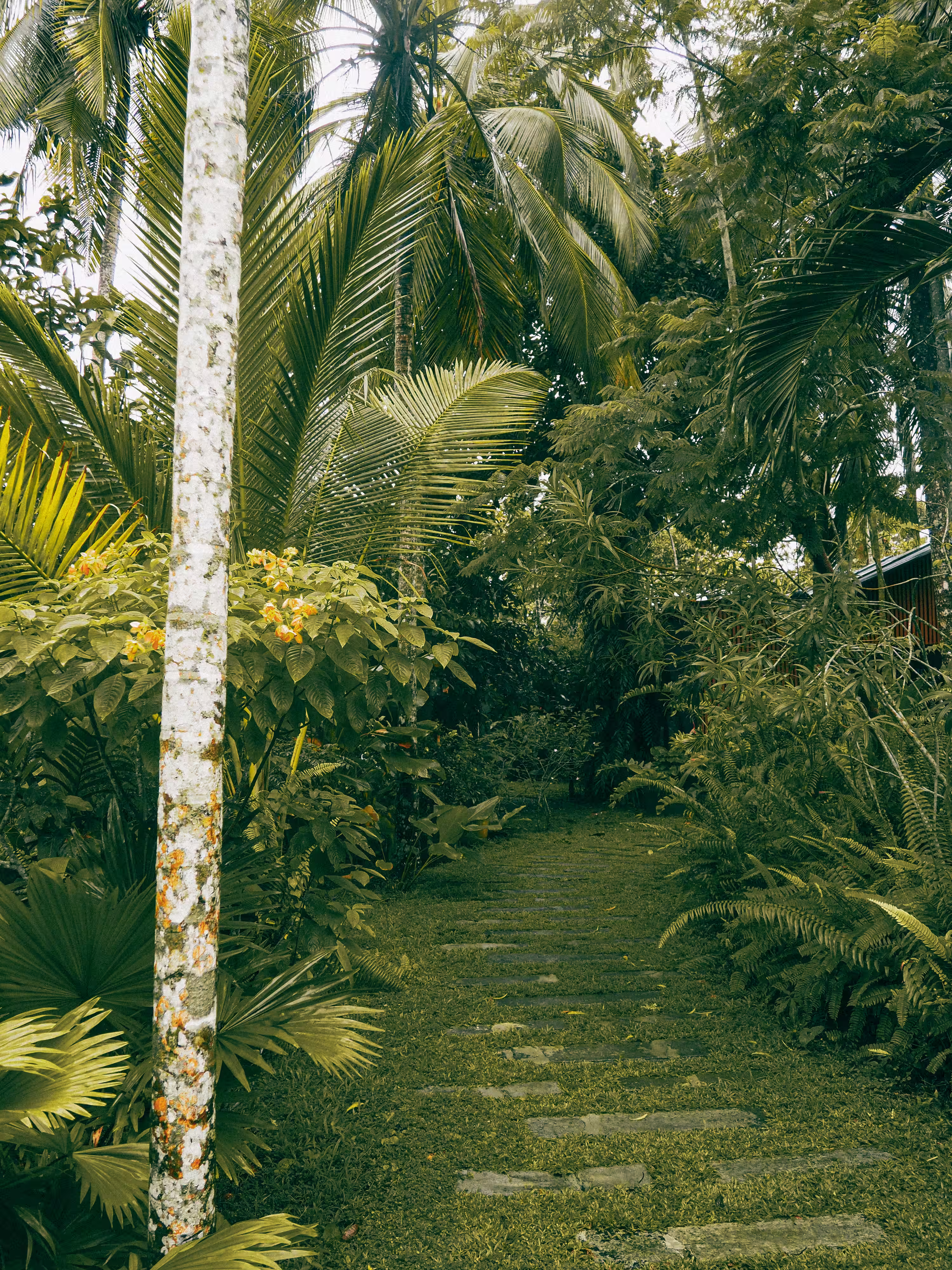 Intimate tropical hideaway designed for comfort and relaxation in nature