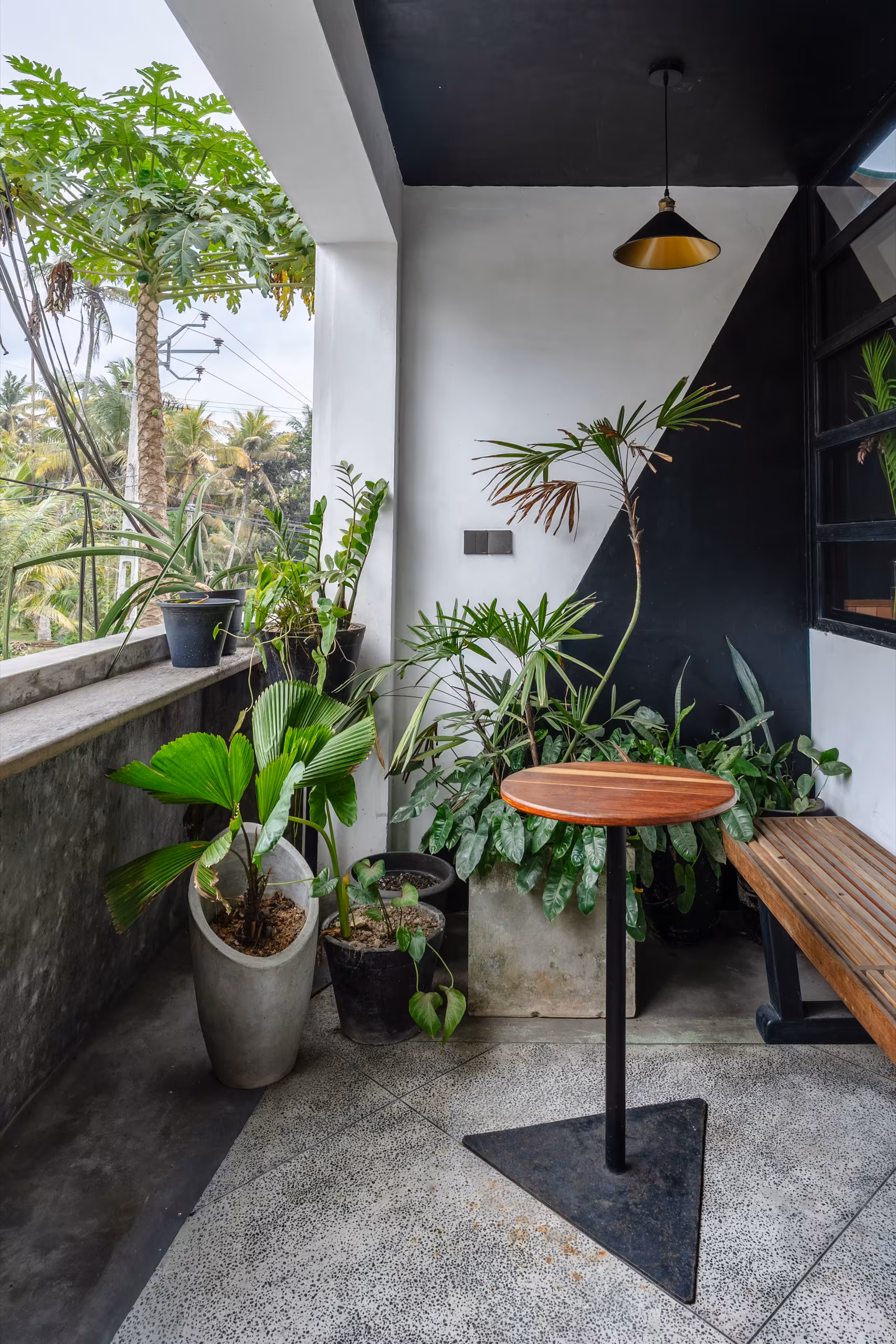Plant-filled balcony corner of the Surf Loft in Kabalana, Ahangama, Sri Lanka