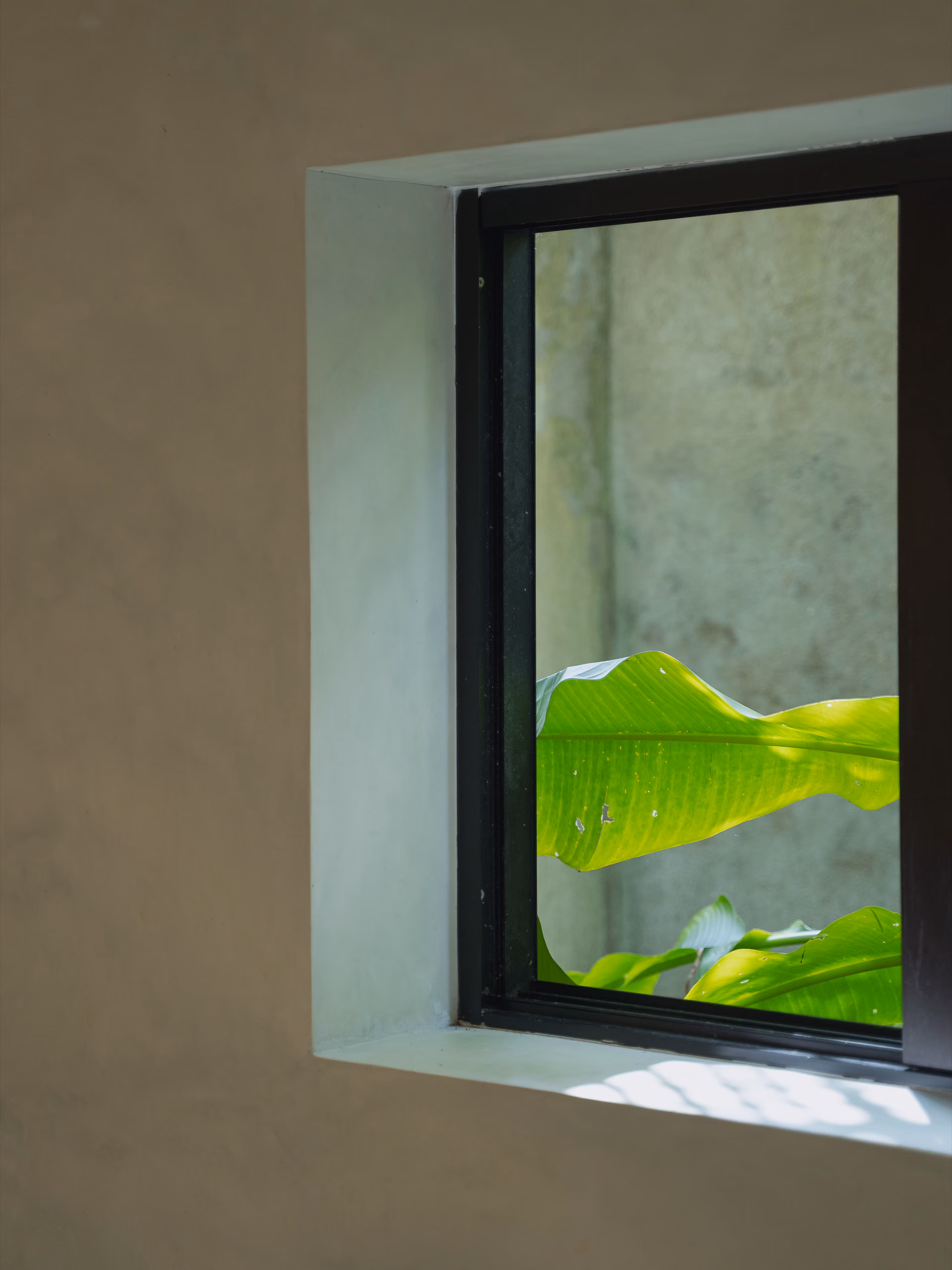 Window framing tropical greenery in the Tropical House at Licuala Lanka, Ahangama, Sri Lanka