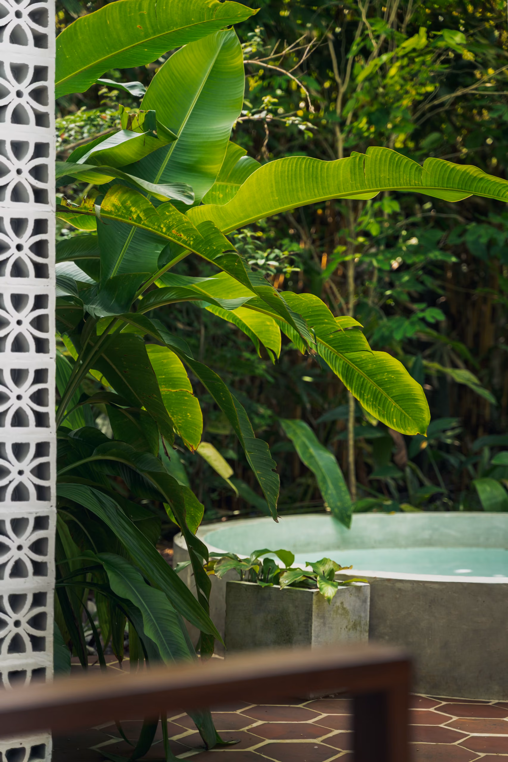 Private plunge pool in the Tropical House garden at Licuala Lanka on Sri Lanka's South Coast