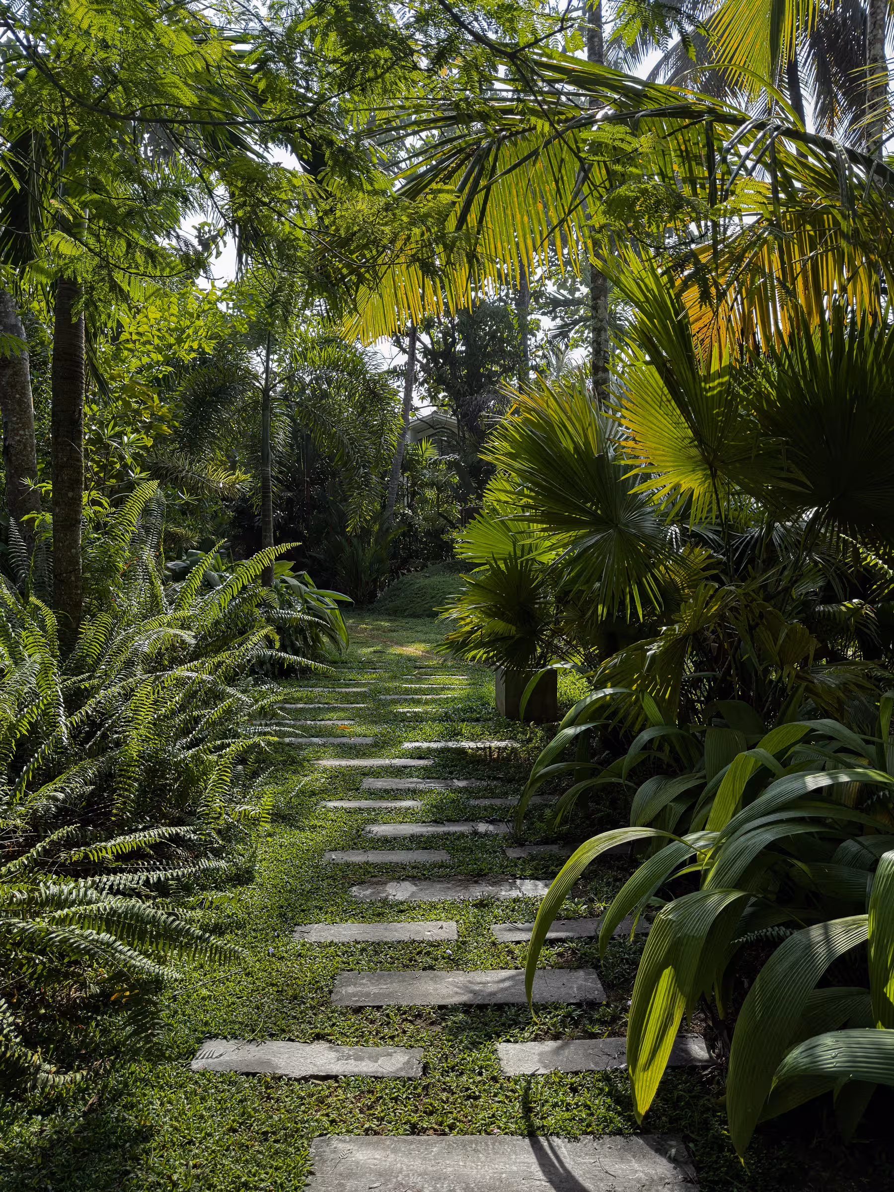 Stepping-stone path through the jungle to the Jungle Home, Licuala Lanka on Sri Lanka's South Coast