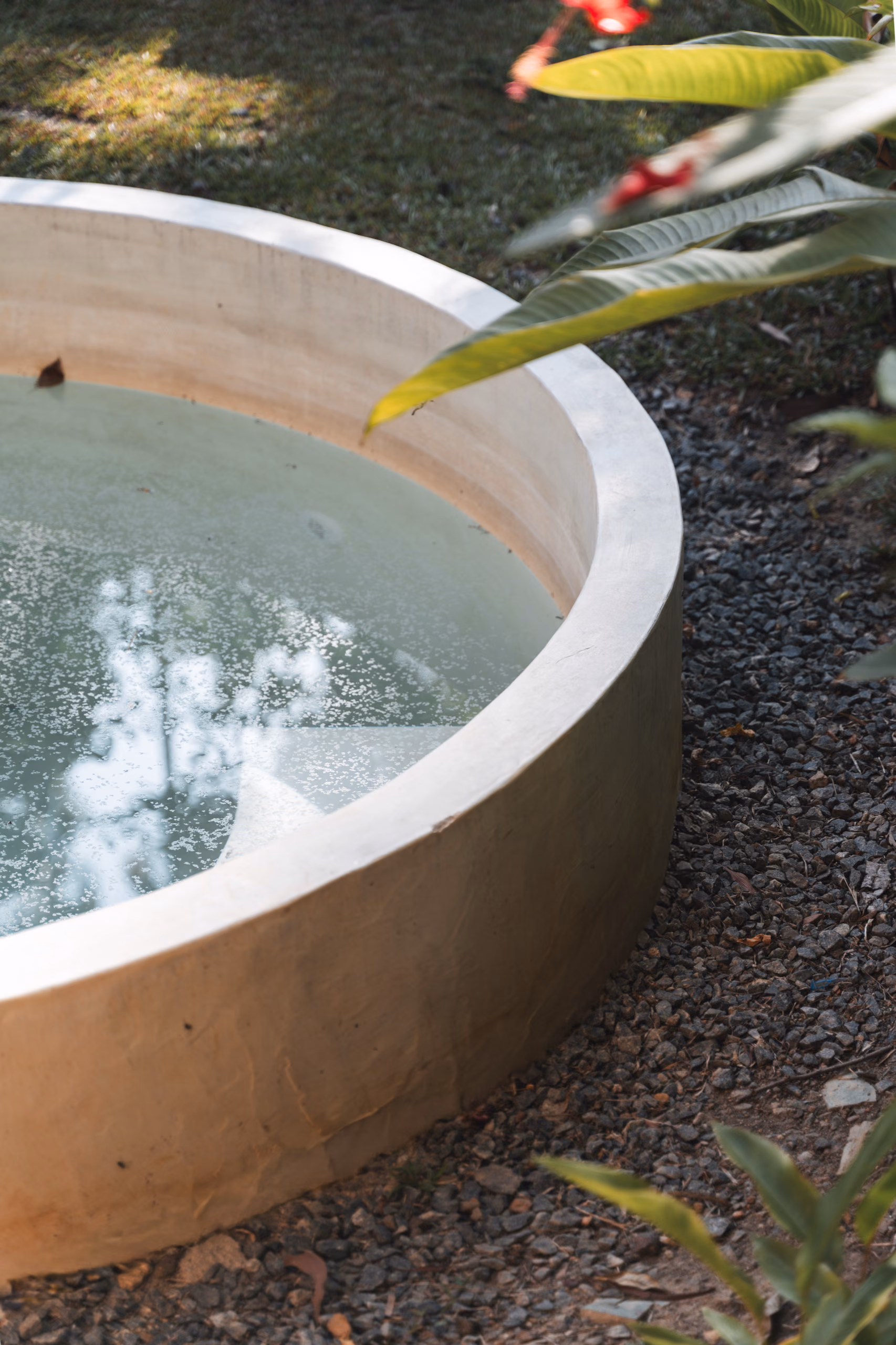 Plunge pool rim with tropical flower at the Jungle Bungalow, Licuala Lanka on Sri Lanka's South Coast