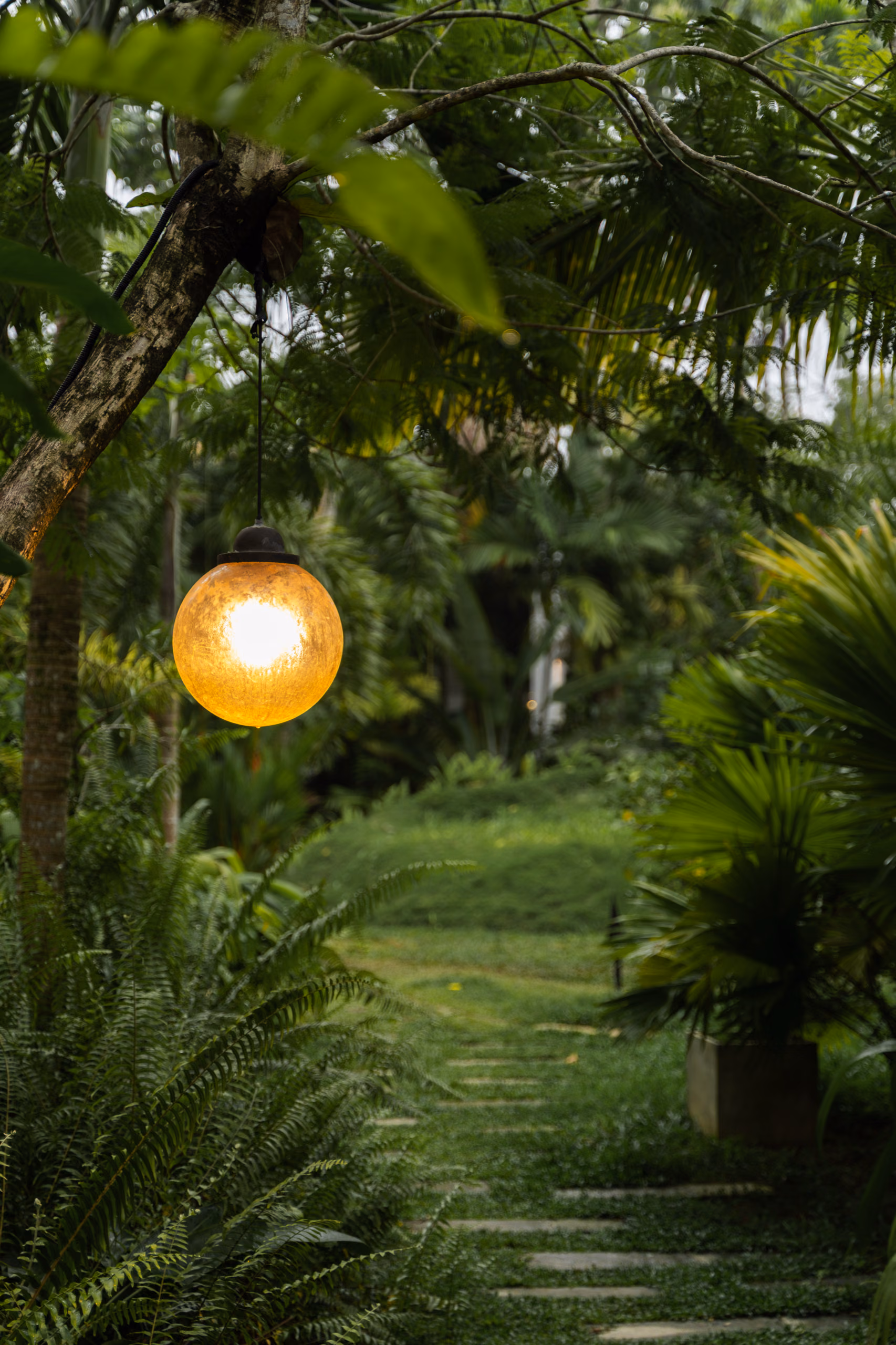 Garden lantern glowing at dusk at the Jungle Bungalow, Licuala Lanka near Kabalana Beach, Sri Lanka