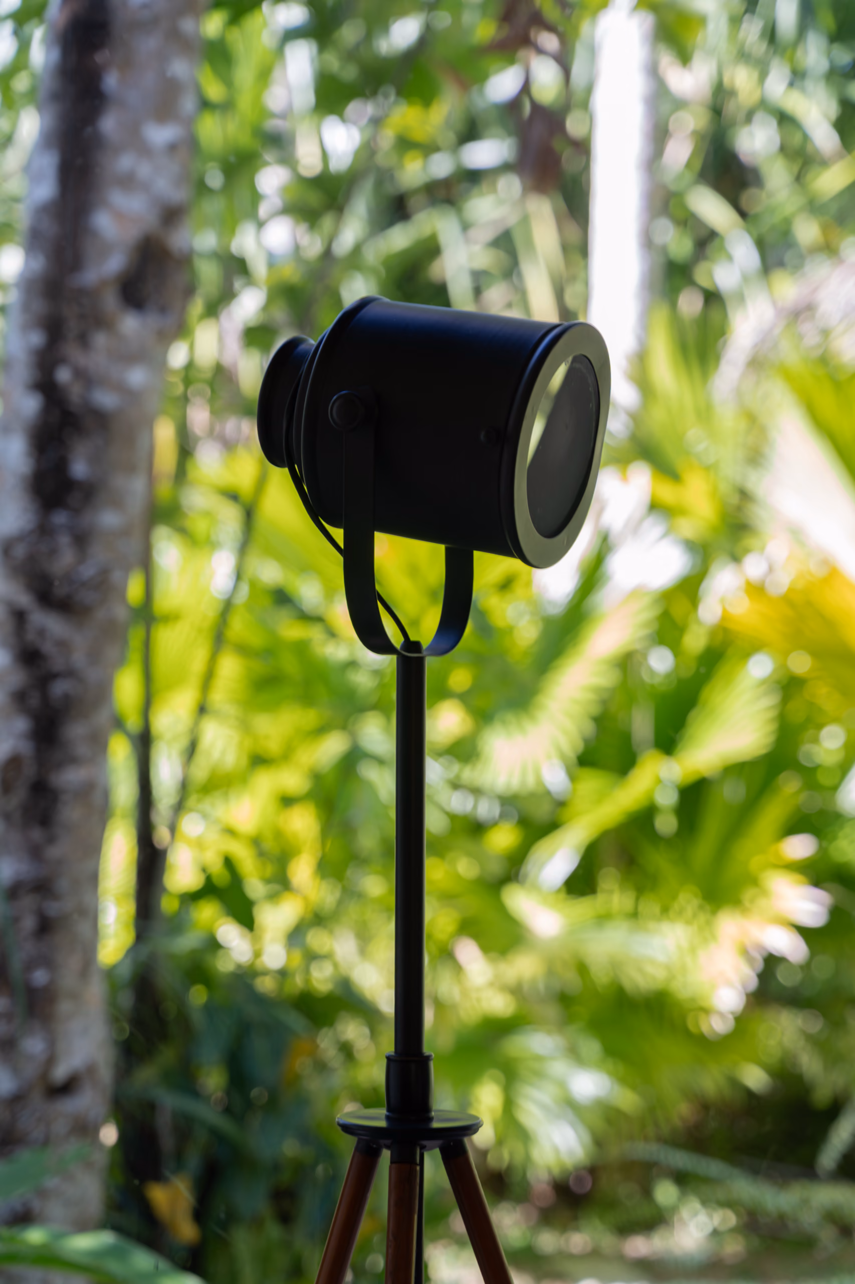 Tripod garden lamp among jungle plants at the Jungle Bungalow, Licuala Lanka, Ahangama, Sri Lanka